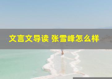 文言文导读 张雪峰怎么样